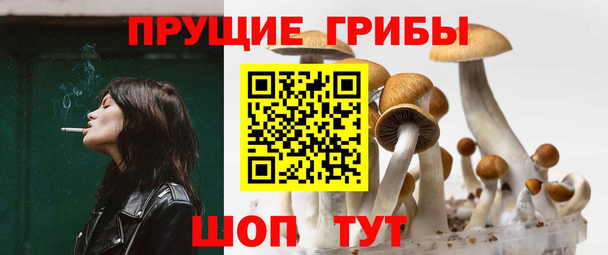 Псилоцибиновые грибы Psilocybine cubensis  Вход с VPN  Галлюциногенные грибы прущие грибы  как найти закладки  Сальск 